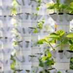 Hydroponic Tower Kit